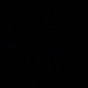 Meet your Posher, Regina